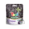 Yupi Bolicious Wild Blackberry 40 gr Exp. 06-05-2025 Candy