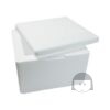 KiosKana Styrofoam Box 1 pc for Shipping Fresh and Frozen Items MEDIUM  *NOT TO BE SOLD SEPARATELY* Cake